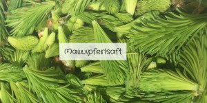 Beitragsbild des Blogbeitrags Maiwipferlsaft