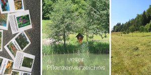 Beitragsbild des Blogbeitrags Pflanzenverzeichnis