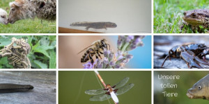 Beitragsbild des Blogbeitrags Unsere tollen Tiere