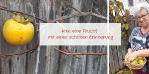 Beitragsbild des Blogbeitrags Kaki eine Frucht mit einer schönen Erinnerung