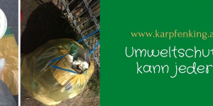 Beitragsbild des Blogbeitrags Umweltschutz kann jeder