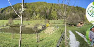 Beitragsbild des Blogbeitrags Natur und Technik