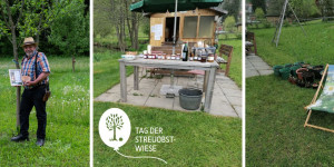Beitragsbild des Blogbeitrags Streuobstwiesentag 2023 (Rückblick)