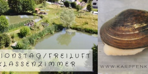 Beitragsbild des Blogbeitrags Exkursion zur Teichanlage und Streuobstwiese