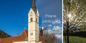 Beitragsbild des Blogbeitrags Fatima