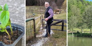 Beitragsbild des Blogbeitrags Bäumepflanzen