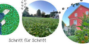 Beitragsbild des Blogbeitrags Schritt für Schritt – nimm Dir Zeit