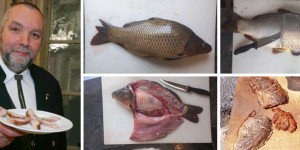 Beitragsbild des Blogbeitrags Heimischer Fisch für den Weihnachtstisch inkl. Rezepte