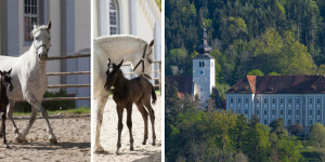 Beitragsbild des Blogbeitrags Ausflug nach Piber 