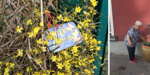 Beitragsbild des Blogbeitrags Unser Hausgarten – Hannerl sammelt