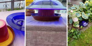 Beitragsbild des Blogbeitrags Hilfe gegen Schnecken