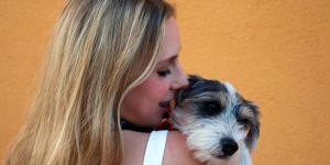Beitragsbild des Blogbeitrags Lilo on Holiday