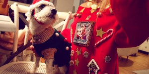 Beitragsbild des Blogbeitrags Lilo and the Christmas Hoodie 