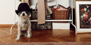 Beitragsbild des Blogbeitrags Lilo und der Tik Tok Trend 