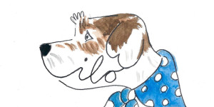 Beitragsbild des Blogbeitrags Ein Buch für LILO 