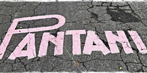 Beitragsbild des Blogbeitrags Cycling Press Trip „Granfondo Marco Pantani 2019“ – Teil 1