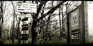 Beitragsbild des Blogbeitrags Heute nur bewegte Bilder…
