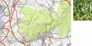 Beitragsbild des Blogbeitrags Noch ein Tool zur Touren-/Reise-Dokumentation entdeckt!