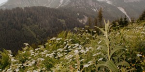 Beitragsbild des Blogbeitrags E-Bike + Hike in Filzmoos 