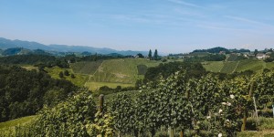 Beitragsbild des Blogbeitrags Zwoa Unterwegs: Wine & Bike in Österreich 