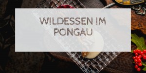 Beitragsbild des Blogbeitrags Wildessen im Pongau 