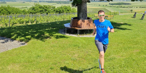 Beitragsbild des Blogbeitrags Laufend zu den besten Weinen im Blaufränkischland
