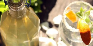 Beitragsbild des Blogbeitrags RINFRESCANTE DELICATEZZA ALLA MELISSA
