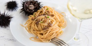 Beitragsbild des Blogbeitrags Der Geschmack des Meeres – Spaghetti mit Seeigeln 