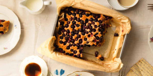 Beitragsbild des Blogbeitrags Torta Bertolina