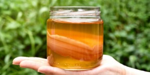 Beitragsbild des Blogbeitrags Warum Kombucha deine Gesundheit fördert 