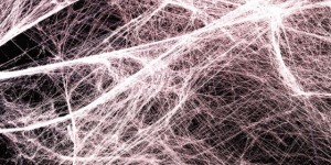 Beitragsbild des Blogbeitrags 5 Gründe warum du mit Faszientraining anfangen solltest