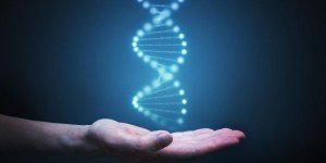 Beitragsbild des Blogbeitrags DNA Test – Hacke deine Gesundheit