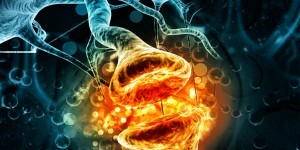 Beitragsbild des Blogbeitrags Hormone verstehen und hacken