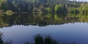 Beitragsbild des Blogbeitrags Der Weg ist das Ziel: Über den Schluchtenweg zum Ossiacher Tauernteich
