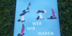 Beitragsbild des Blogbeitrags Buchtipp: Roger Willemsen: Wer wir waren
