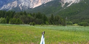 Beitragsbild des Blogbeitrags Kleines Naturparadies: Die Schütt