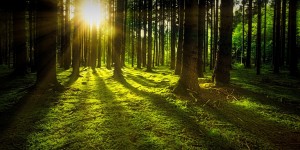 Beitragsbild des Blogbeitrags Zu sich selbst finden - Die Medizinwanderung