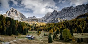 Beitragsbild des Blogbeitrags Fundstücke #4: Natur im Wohnzimmer