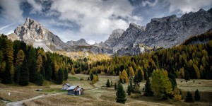 Beitragsbild des Blogbeitrags Fundstücke: Natur im Wohnzimmer 