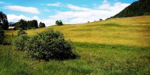 Beitragsbild des Blogbeitrags Kathreinkogel: Besonderer Energieort und Kraftplatz