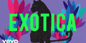 Beitragsbild des Blogbeitrags Purple Disco Machine – Exotica