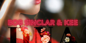 Beitragsbild des Blogbeitrags Bob Sinclar, Kee – D.N.A