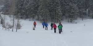 Beitragsbild des Blogbeitrags Schneeschuhwanderung zum Grünen See