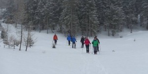 Beitragsbild des Blogbeitrags Schneeschuhwanderung zum Grünen See 