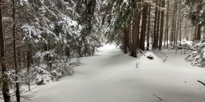 Beitragsbild des Blogbeitrags Winterspaziergang über den Gahns