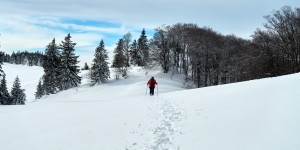 Beitragsbild des Blogbeitrags Schneeschuhwanderung Eisenstein 