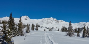Beitragsbild des Blogbeitrags Grüner See zur Sonnschienalm