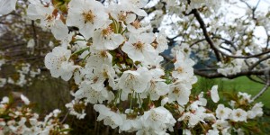 Beitragsbild des Blogbeitrags Familienwanderung Knofeleben und Salamanderbahnweg