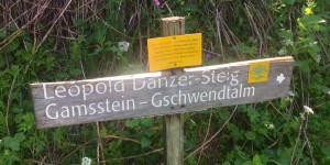 Beitragsbild des Blogbeitrags Gamsstein & Gschwendtalm