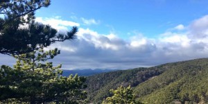 Beitragsbild des Blogbeitrags Wanderlaufen in Bad Vöslau